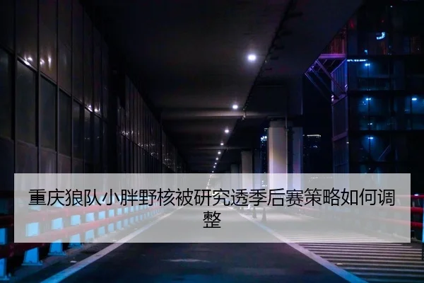 重庆狼队小胖野核被研究透季后赛策略如何调整