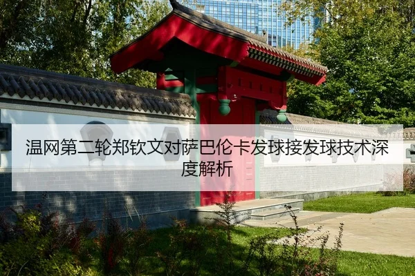 wen-wang-di-er-lun-zheng-qin-wen-dui-sa-ba-lun-ka-fa-qiu-jie-fa-qiu-ji-shu-shen-du-jie-xi-2-332.jpg