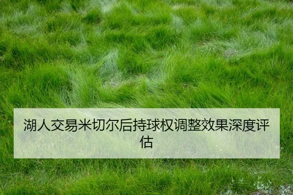 hu-ren-jiao-yi-mi-qie-er-hou-chi-qiu-quan-tiao-zheng-xiao-guo-shen-du-ping-gu-2-529.jpg