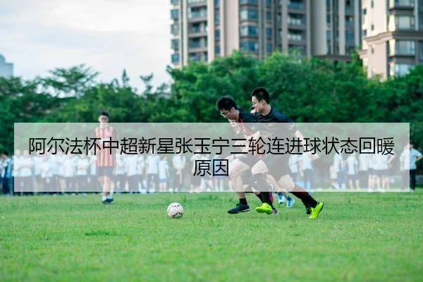 a-er-fa-bei-zhong-chao-xin-xing-zhang-yu-ning-san-lun-lian-jin-qiu-zhuang-tai-hui-nuan-yuan-yin-1-278.jpg